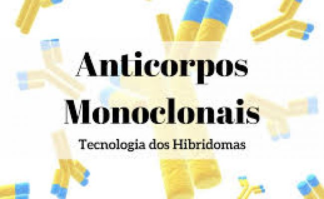 Anticorpo monoclonal